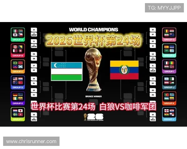 2026年世界杯民主刚果对阵乌兹别克斯坦比赛的赛场环境与观众氛围报道